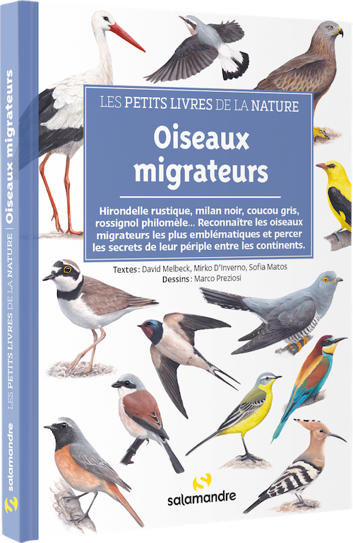 Les petits livres de la nature - Oiseaux migrateurs