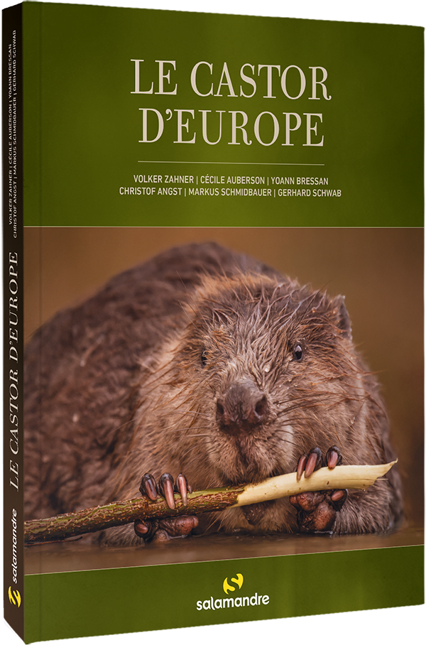 Les plantes sauvages