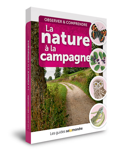 Livre-guide-la-nature-a-la-campagne