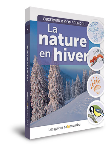 Livre-guide-la-nature-en-hiver