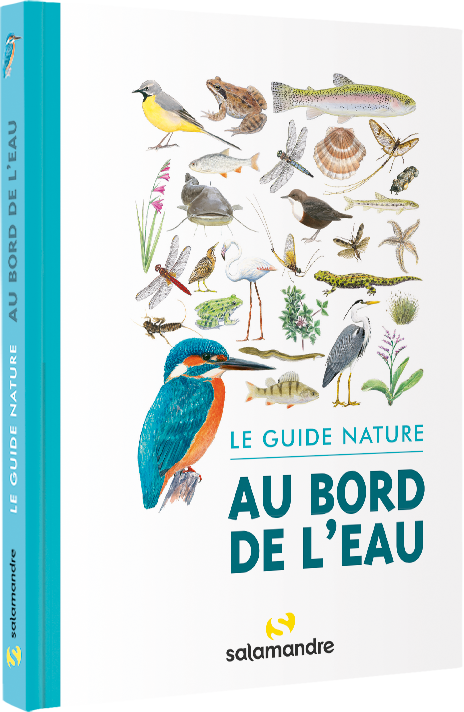 Livre-Le-guide-nature-au-bord-de-l-eau