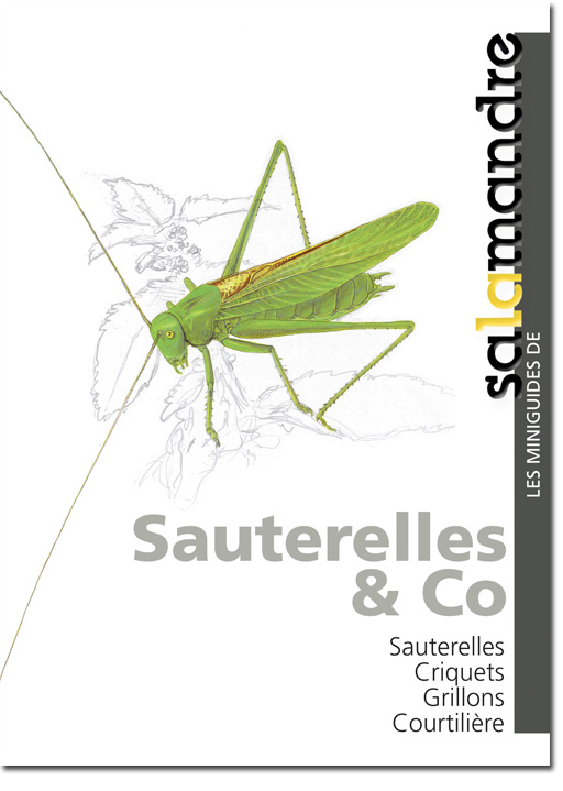 Miniguide 12 : Sauterelles & Co
