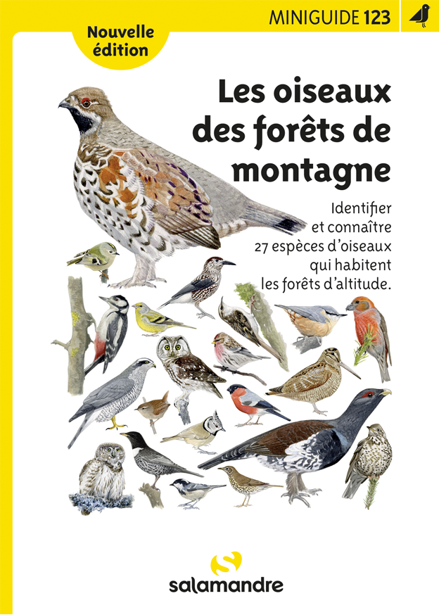 Miniguide 123 - Oiseaux des forêts de montagne 