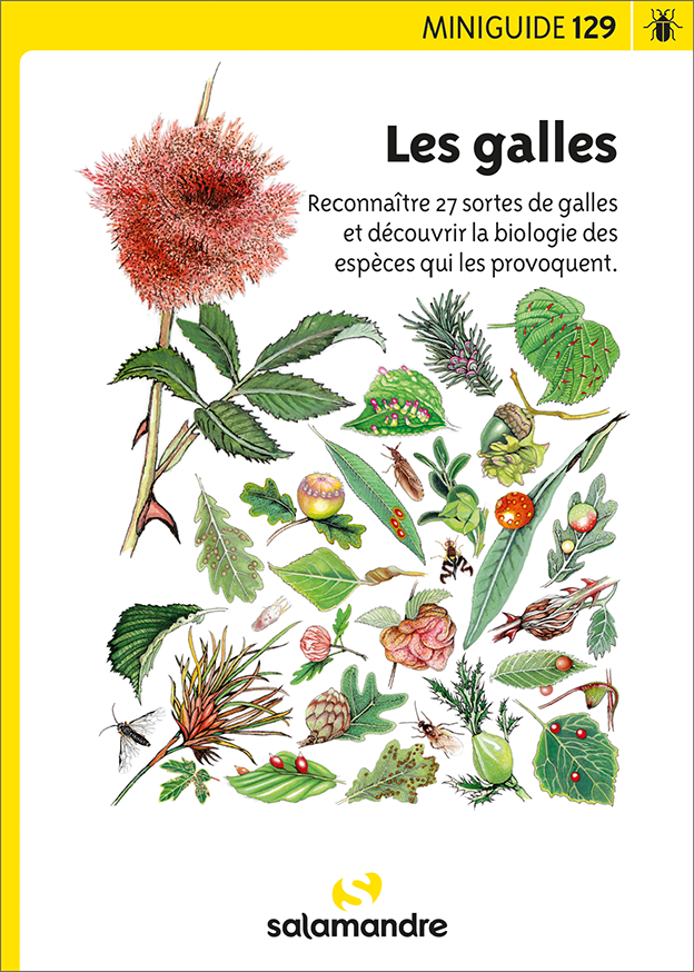 Miniguide 129 - Les galles