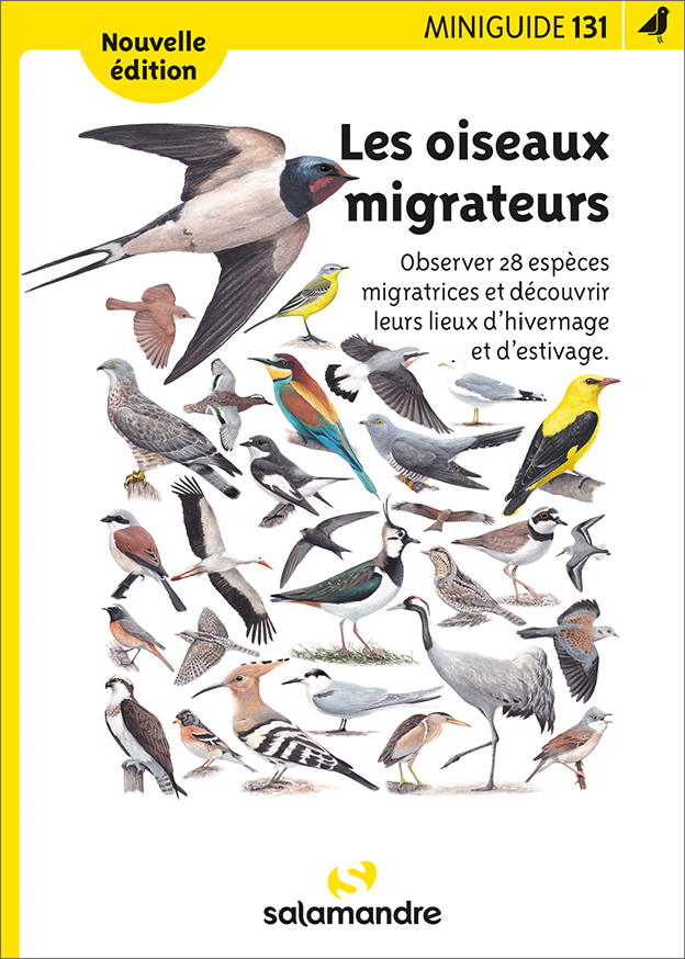 Miniguide 131 - Les oiseaux migrateurs