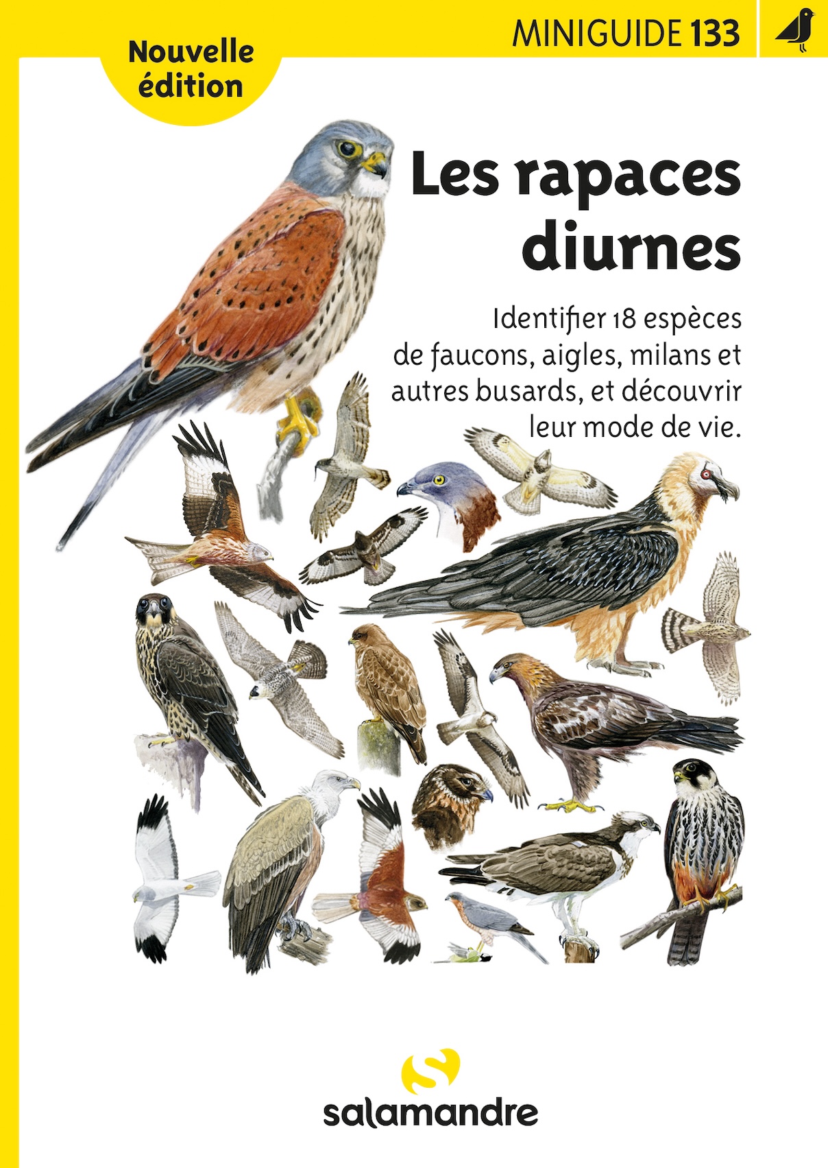 Miniguide 133 - Les rapaces diurnes