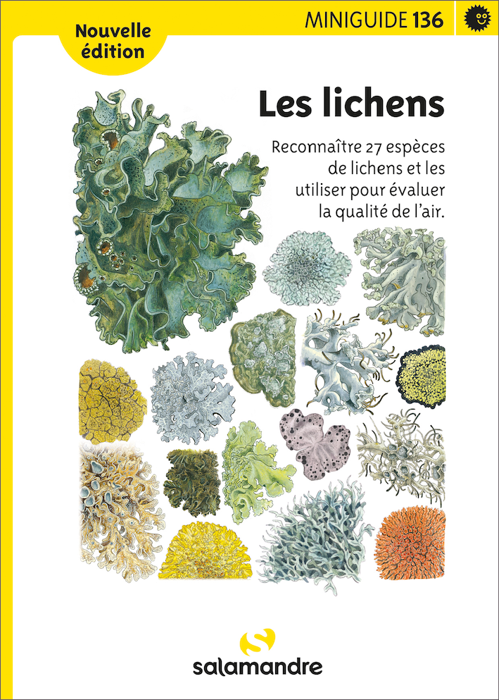 Miniguide 1367 - Les lichens