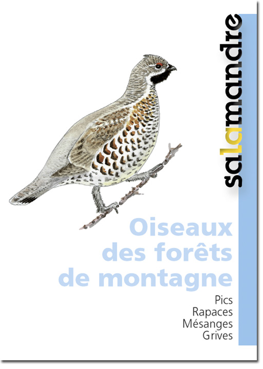 Miniguide 2 : Oiseaux des forêts de montagne