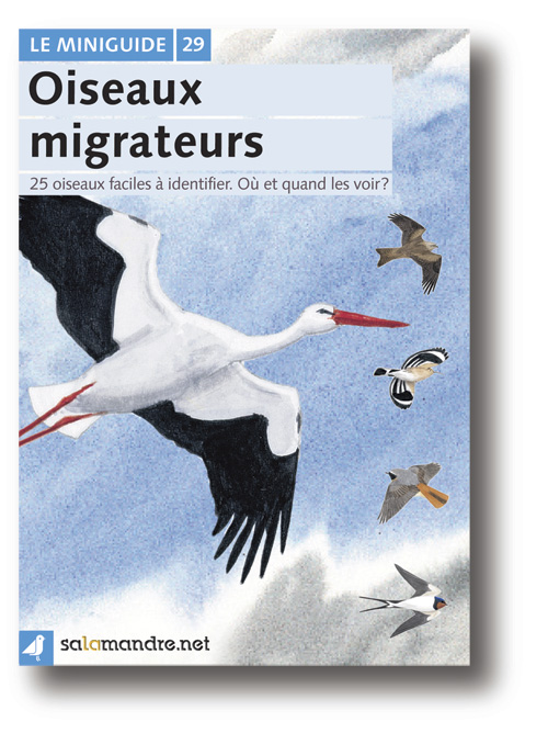 Miniguide 29: Oiseaux migrateurs
