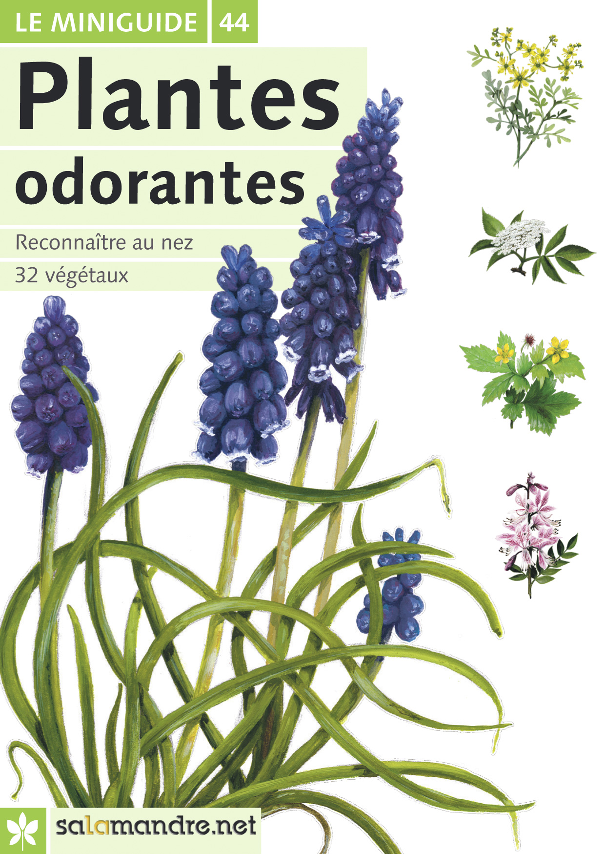 Miniguide 44 : Plantes odorantes