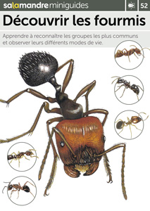 Miniguide 52 : Découvrir les fourmis