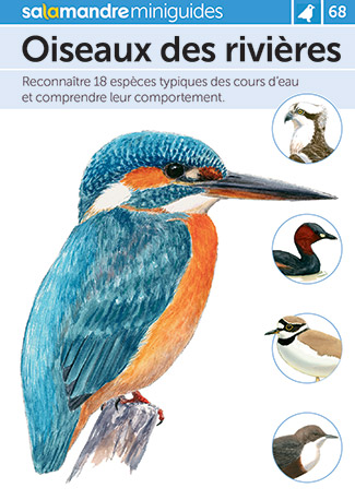 Miniguide 68 : Oiseaux des rivières