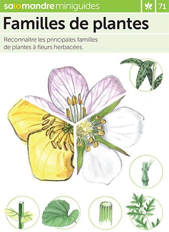 Miniguide 71 : Familles de plantes