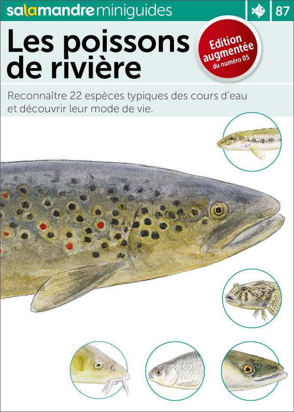 Livre Le guide de la pêche en eau douce - Tout sur les poissons