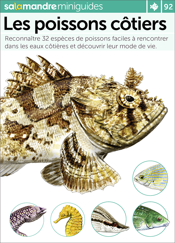 Miniguide 92 – Les poissons côtiers