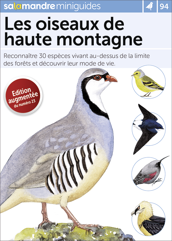 Miniguide 94 – Les oiseaux de haute montagne
