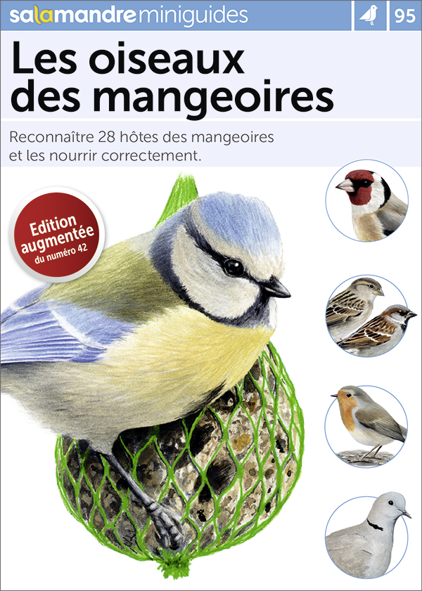Miniguide 95 – Oiseaux des mangeoires