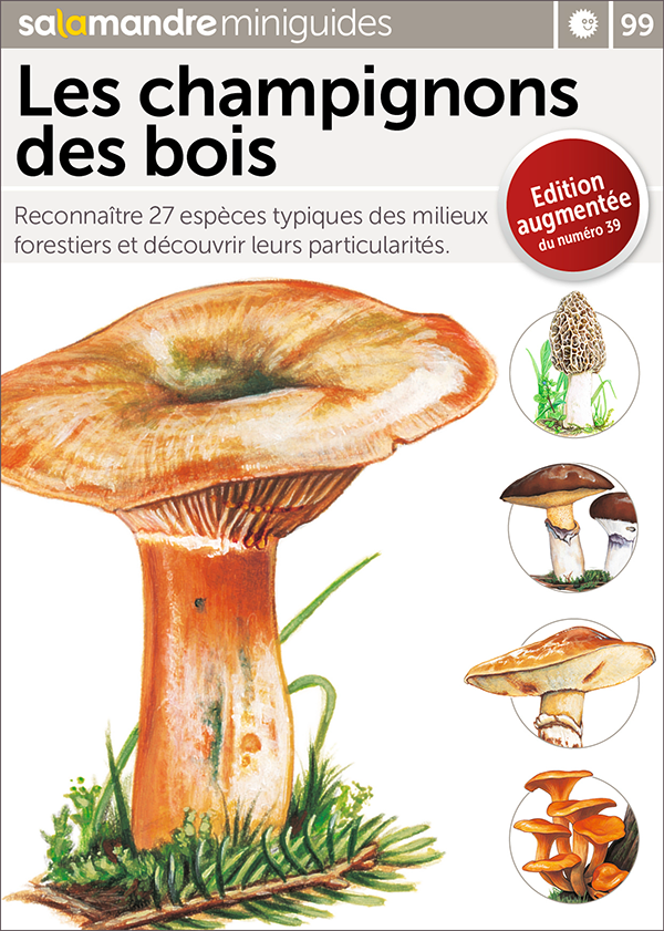 Miniguide 99 – Les champignons des bois