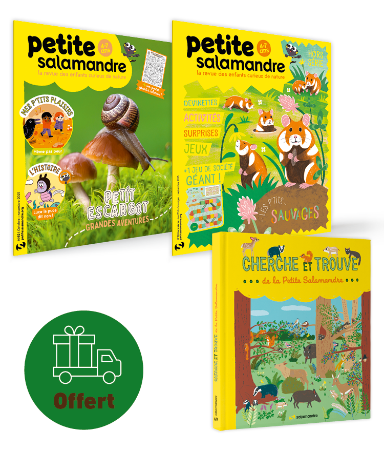 OFFRE DE NOEL: Abonnement 1 an Petite Salamandre (4-7 ans) + Histoires nature de la Petite Salamandre (Frais de port offerts)