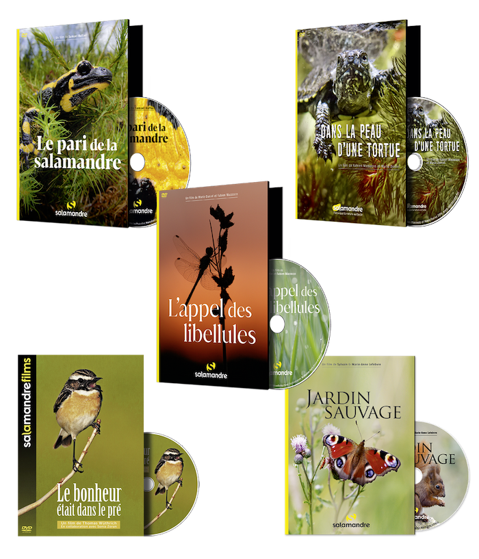 Pack 2 DVD braderie