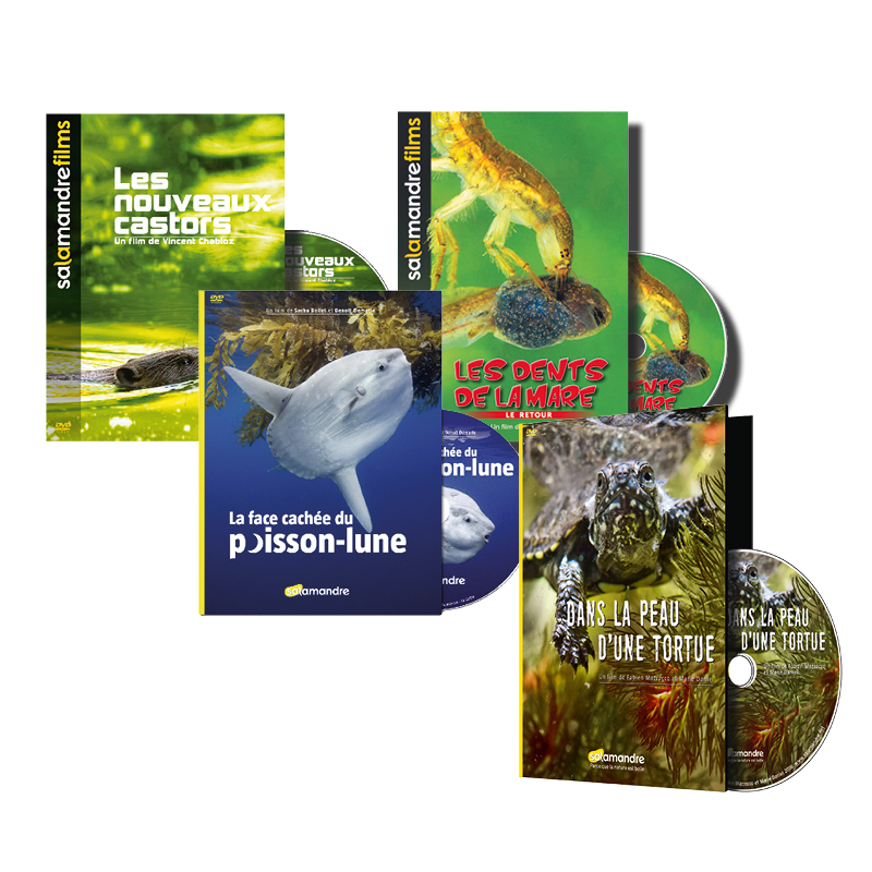 Pack de 4 DVDs pour toute la famille Pack de 4 DVDs pour toute la famille