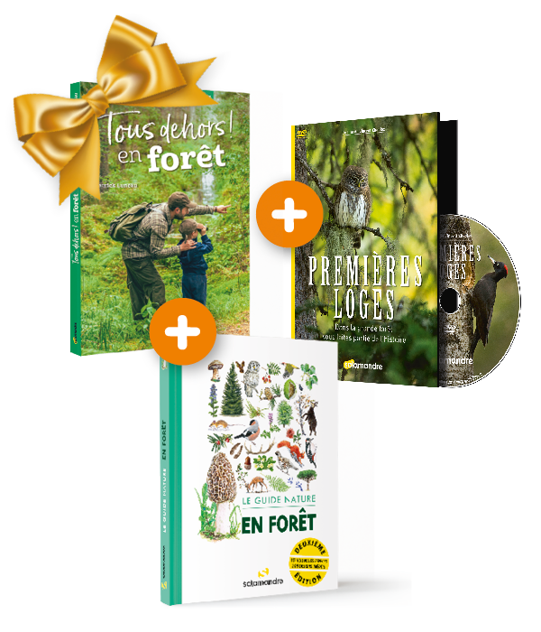 Pack Guide nature en forêt + Livre Tous dehors en forêt + DVD Premières loges