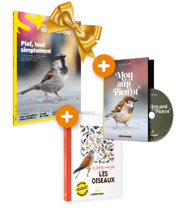 Pack Guide nature les oiseaux + Revue Salamandre n°259 + DVD Mon ami Pierrot