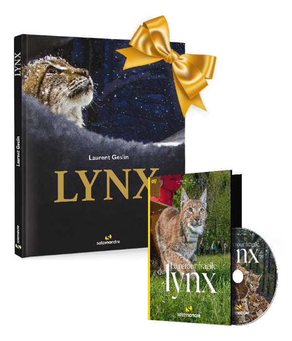 Pack Livre Lynx + DVD Le retour fragile du lynx