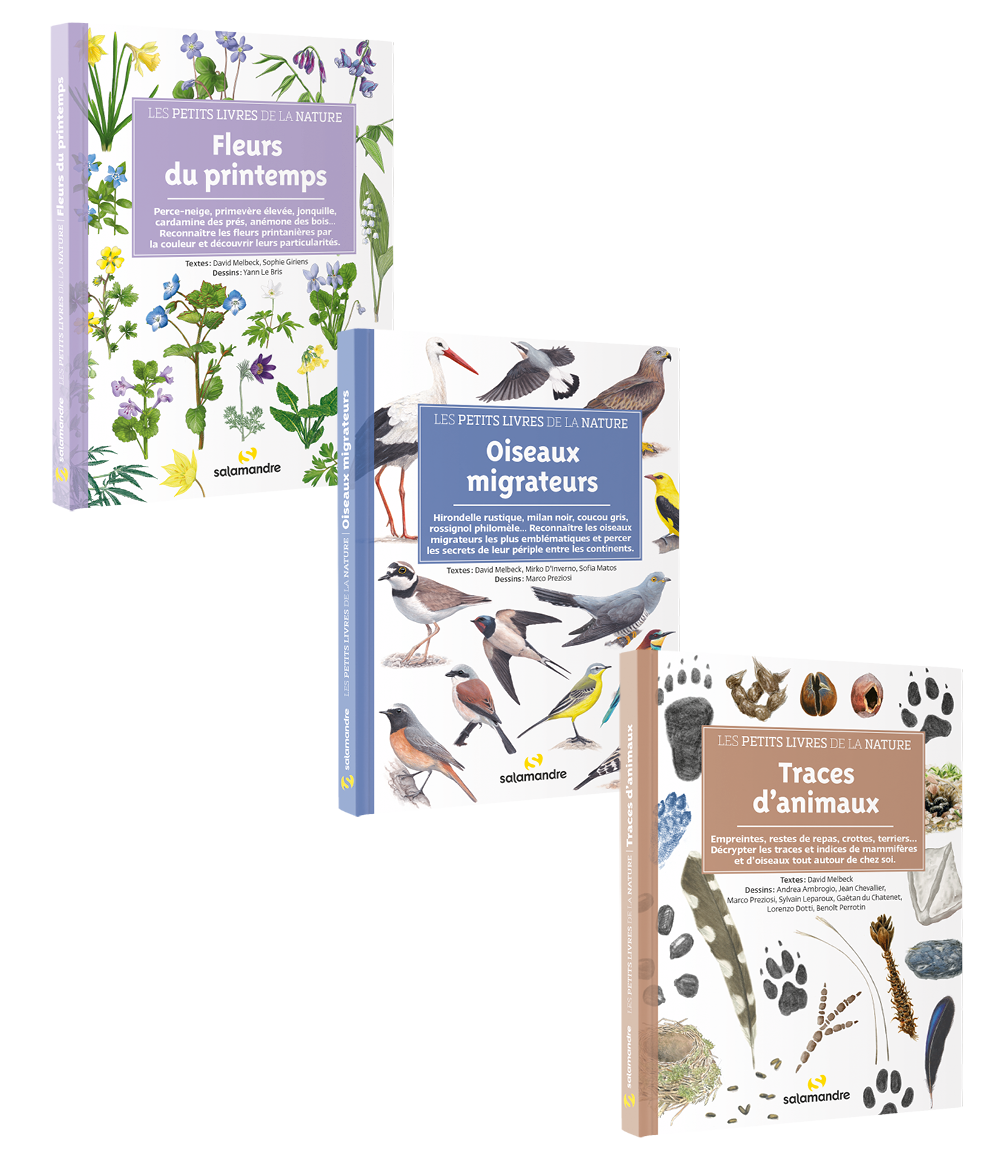 Pack Petits livres de la nature Oiseaux migrateurs/Traces d'animaux/fleurs du printemps