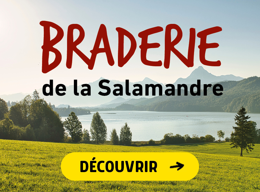 Braderie estivale de la Salamandre