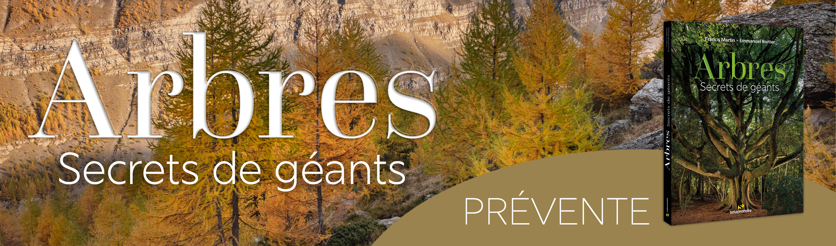Arbres, secrets de géants
