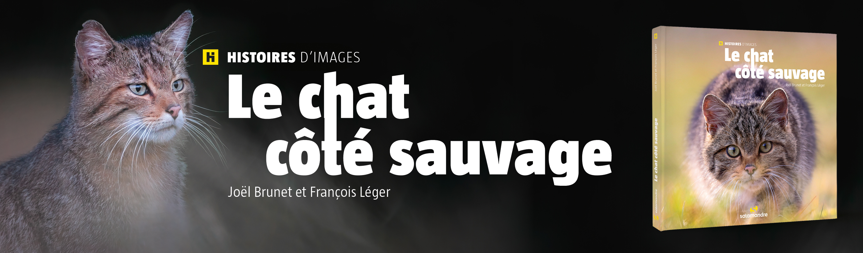 Chat
