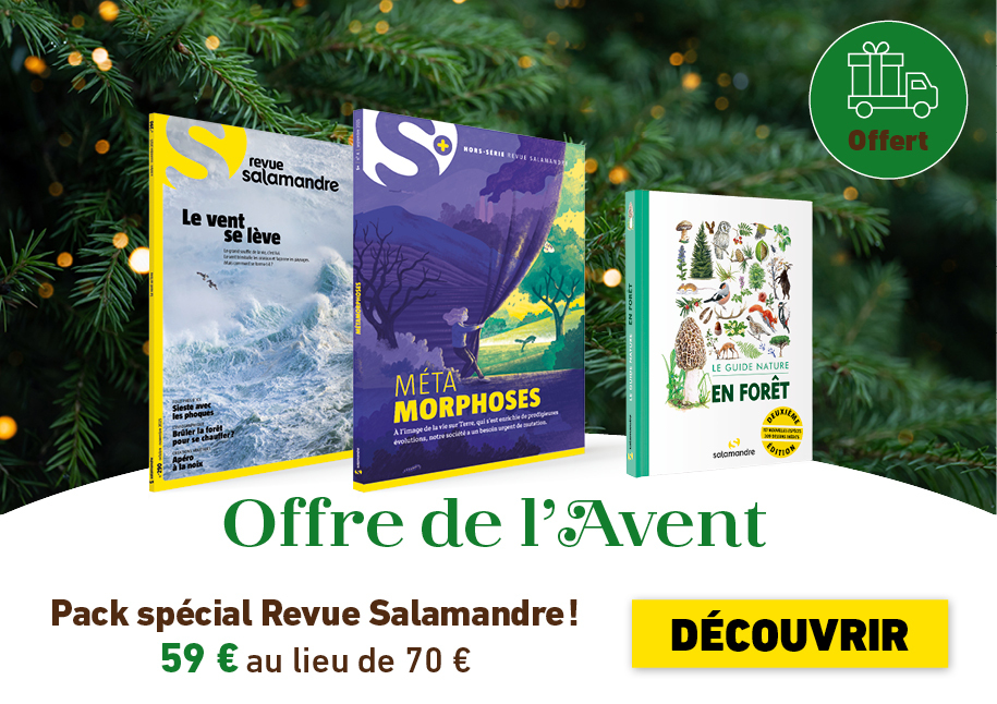 Offre Revue