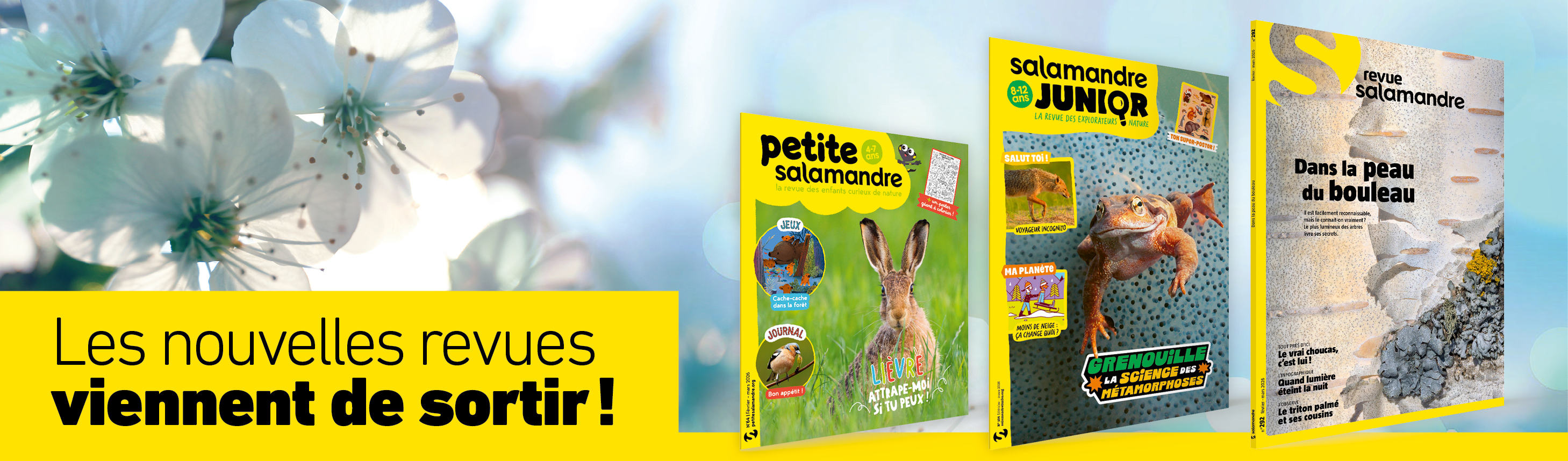 Revues février