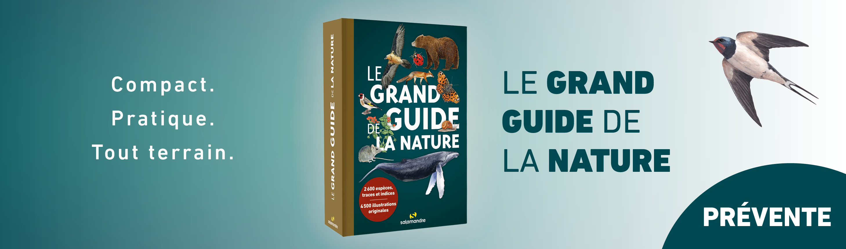 Campagne prevente grand guide