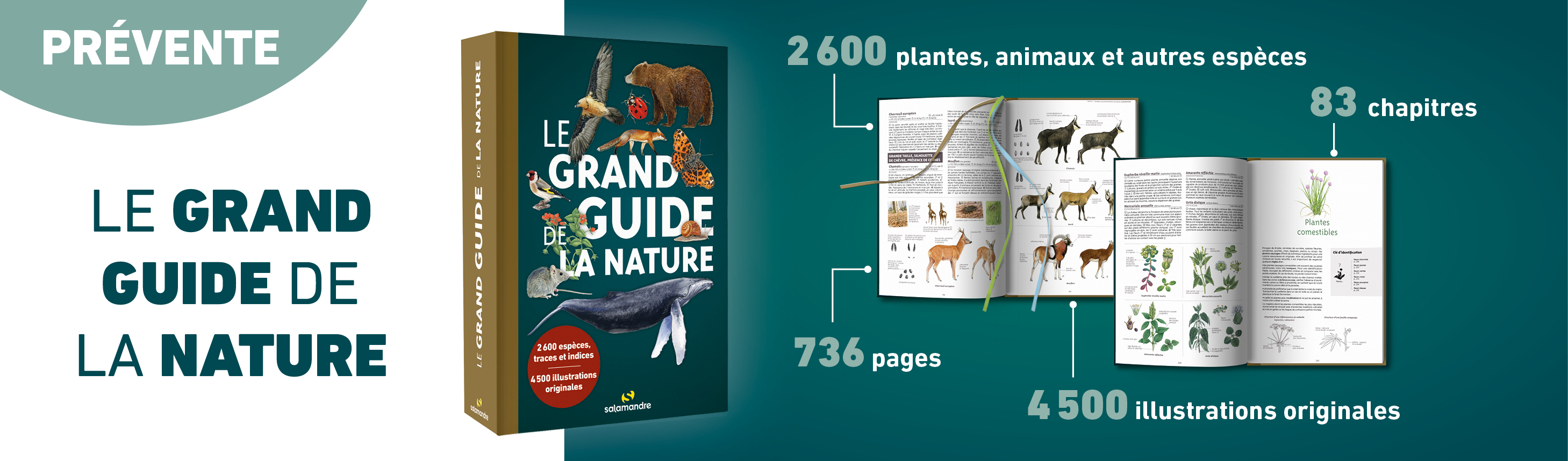 Campagne prevente grand guide