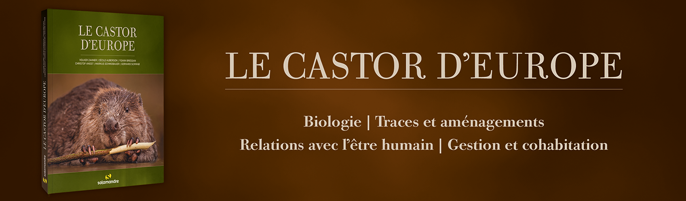 Castor