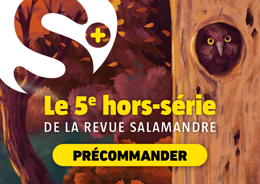 S+ Forêts