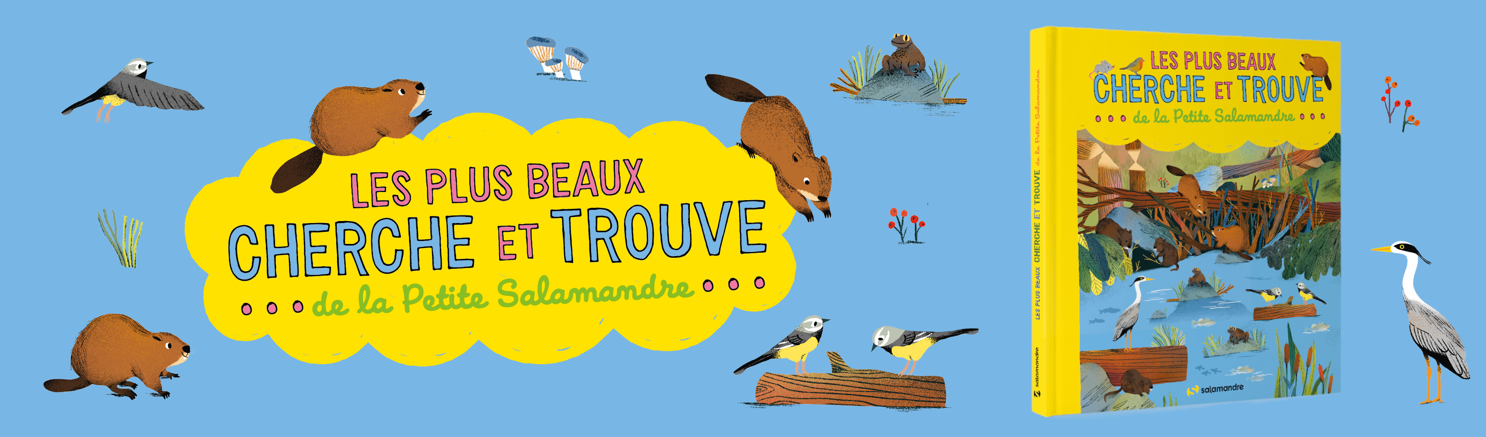 cherche et trouve 