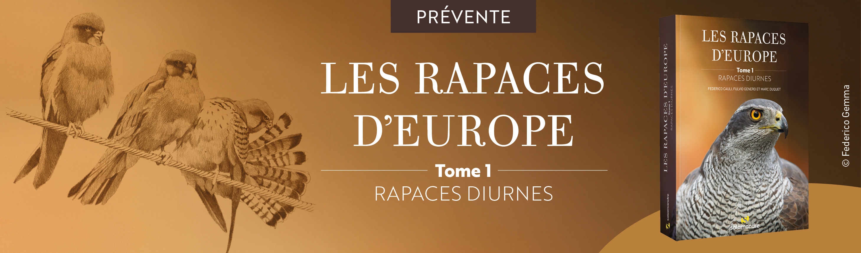 Rapaces d'Europe