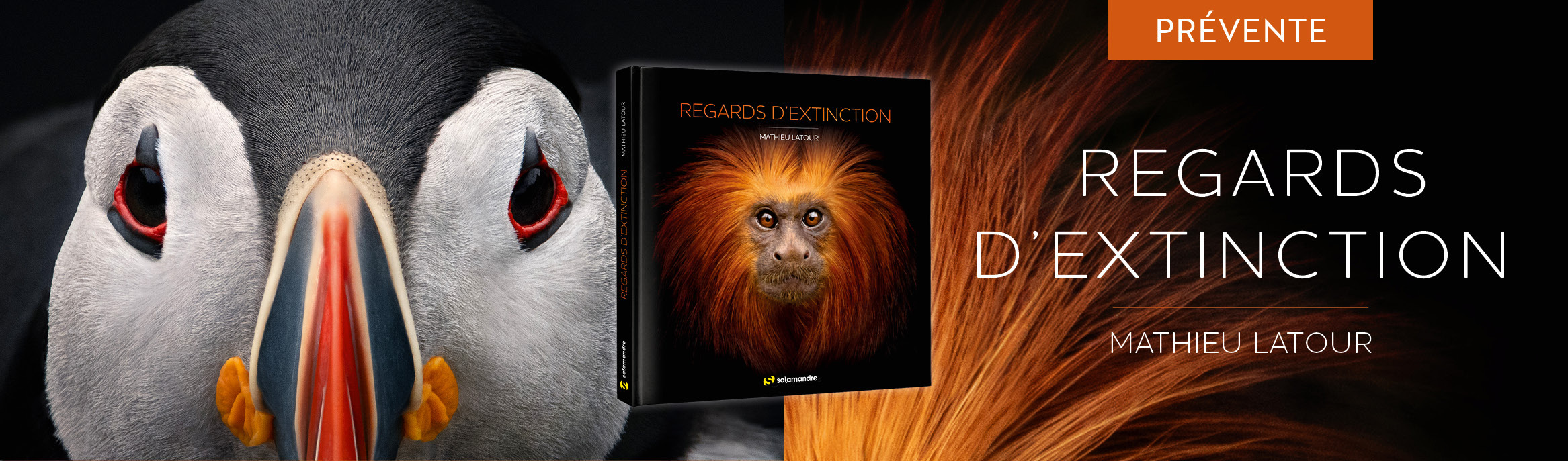 Regards d'extinction