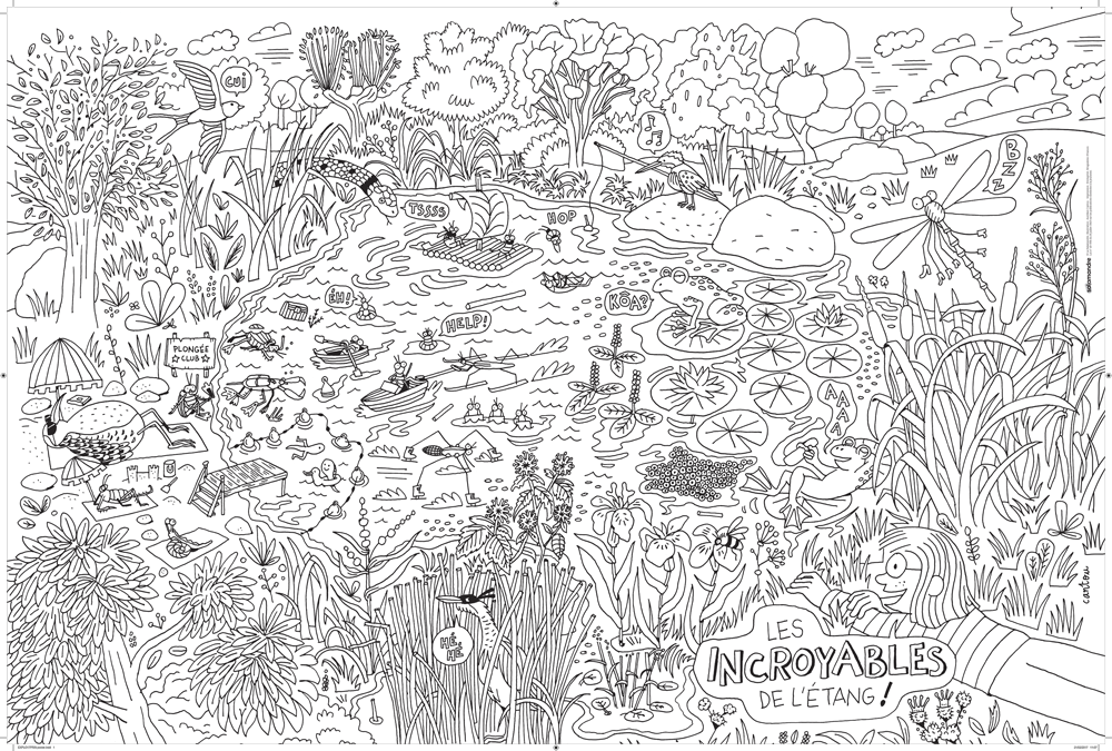 Poster A Colorier La Mare Crayons En Cadeau