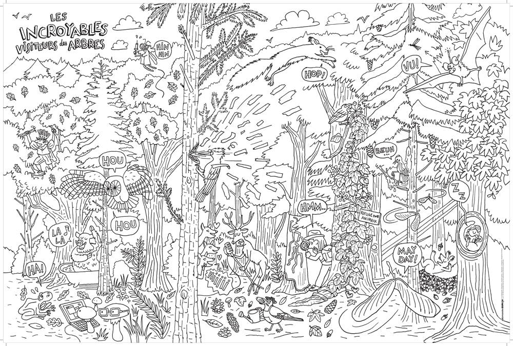 Poster A Colorier Les Arbres Crayons En Cadeau