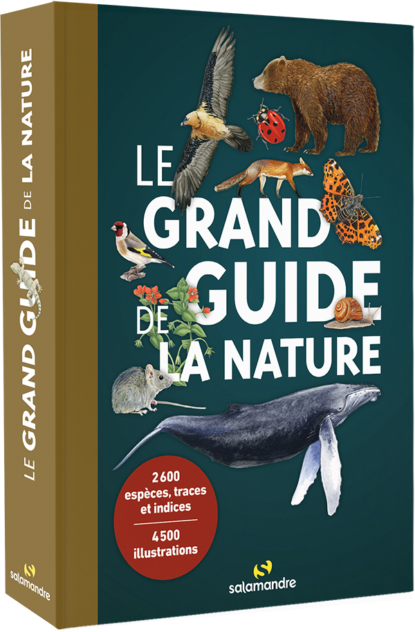 PRÉVENTE Le grand guide de la nature (offre spéciale communauté)