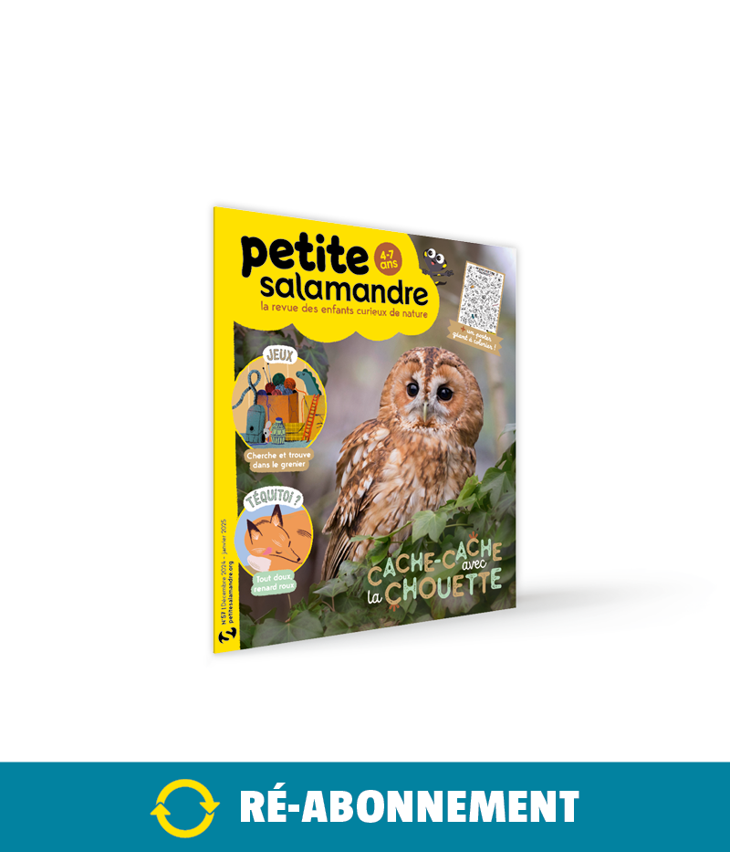 Réabonnement à La Petite Salamandre 1 an