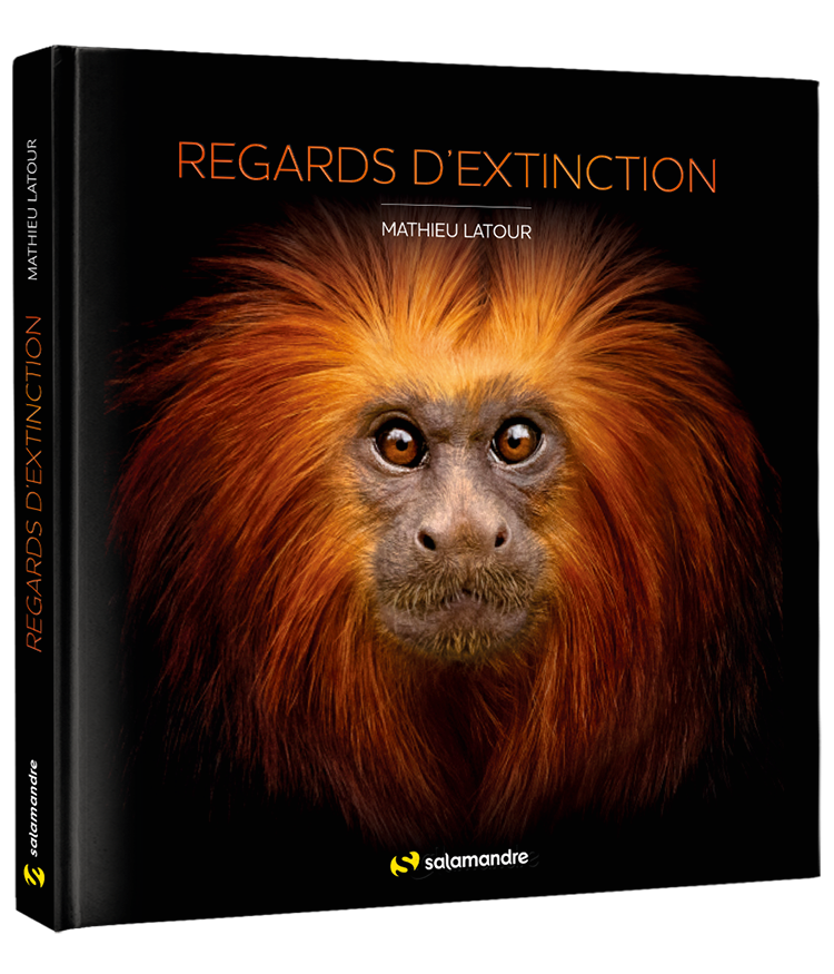 Regards d'extinction