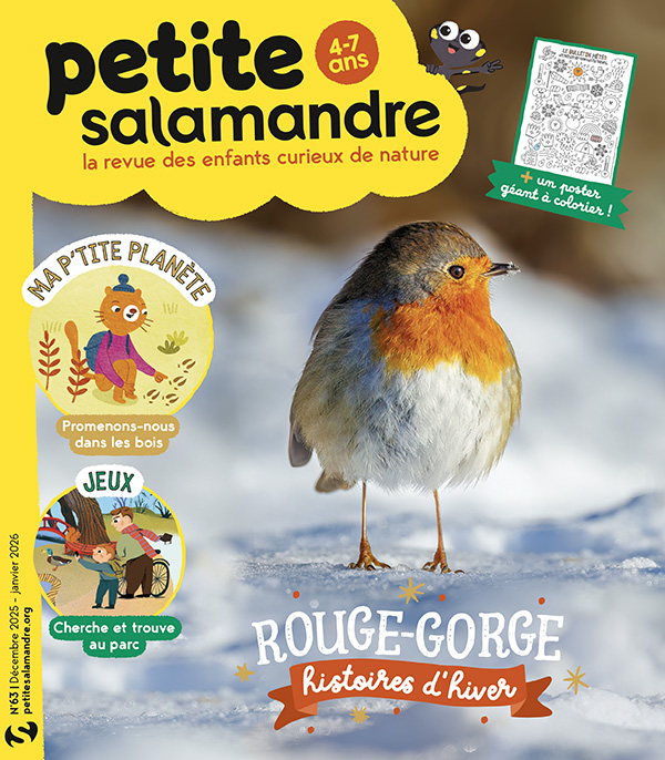 Rouge-gorge: histoires d'hiver (n°63)