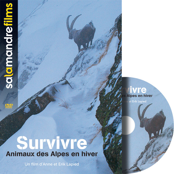 Survivre,animaux des Alpes en hiver, DVD