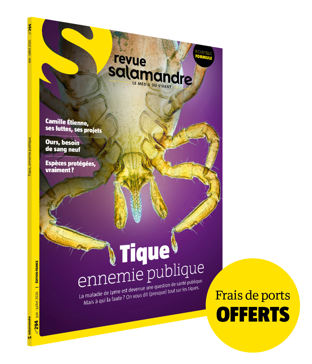 Tique, ennemie publique! (N°294)