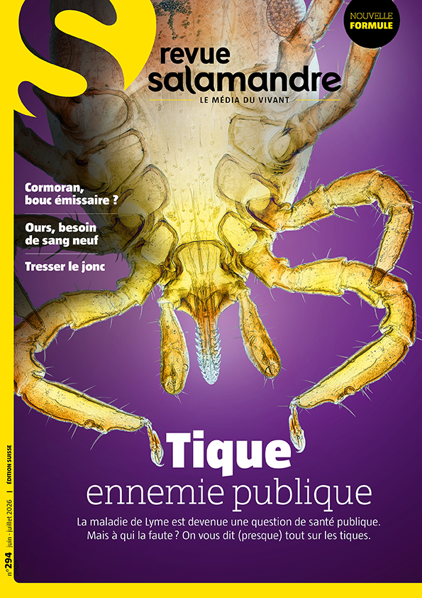 Tique, ennemie publique! (N°294)